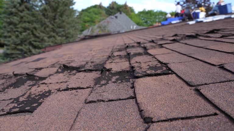 Best 4 Ply Roofing  in Niles, MI
