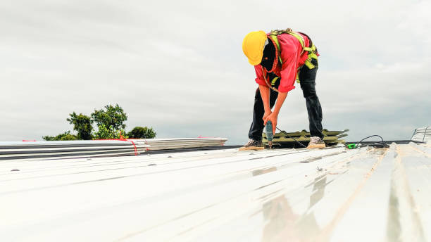 Best Steel Roofing  in Niles, MI