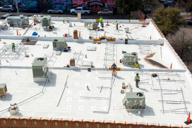 Best Asphalt Shingles Roofing  in Niles, MI