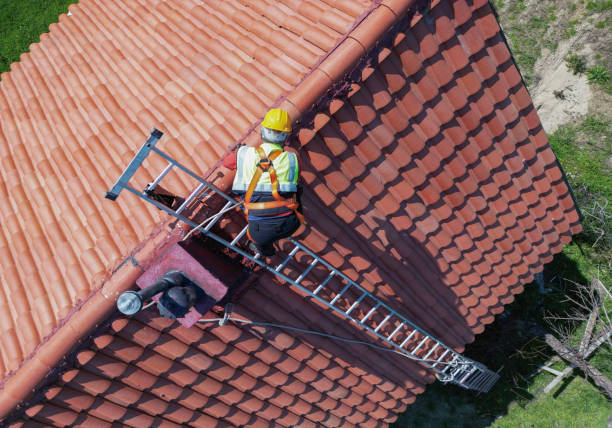 Best Storm Damage Roof Repair  in Niles, MI